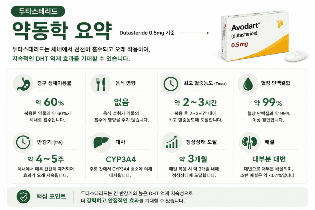 두타스테리드 약동학을 요약한 인포그래픽
