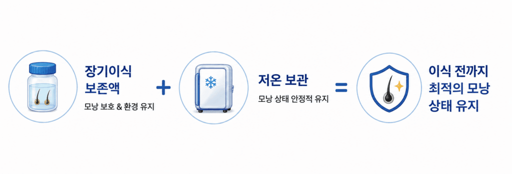모발이식을 위해 채취된 모낭을 장기이식용 보존액과 저온 보관하는 시스템을 설명하는 이미지