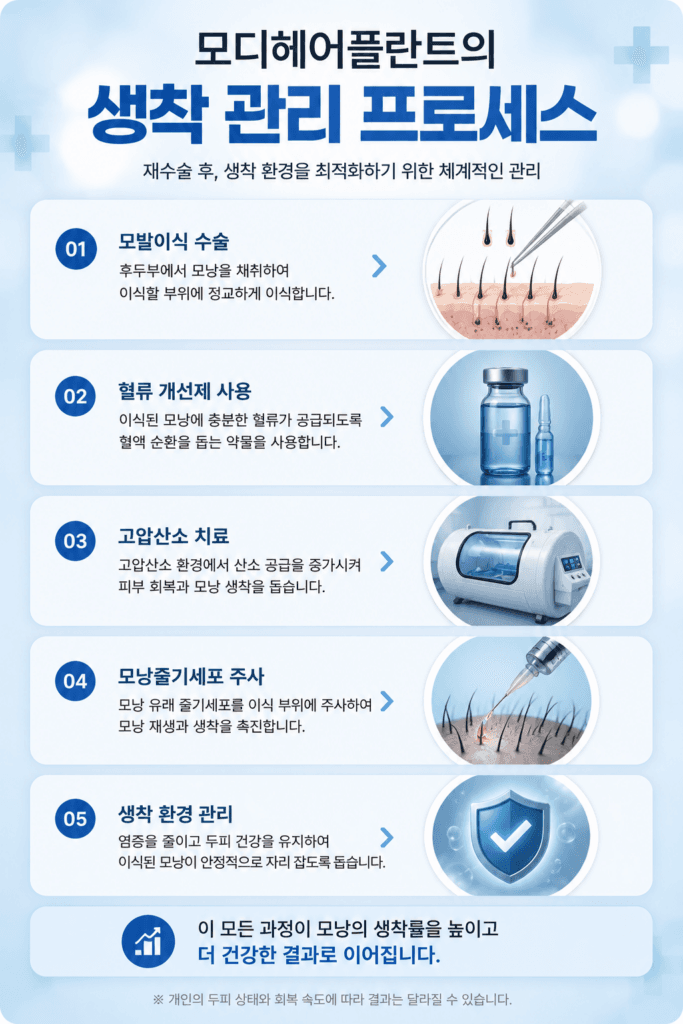 모디헤어플란트 의원의 모발이식 재수술 생착 환경 관리 과정