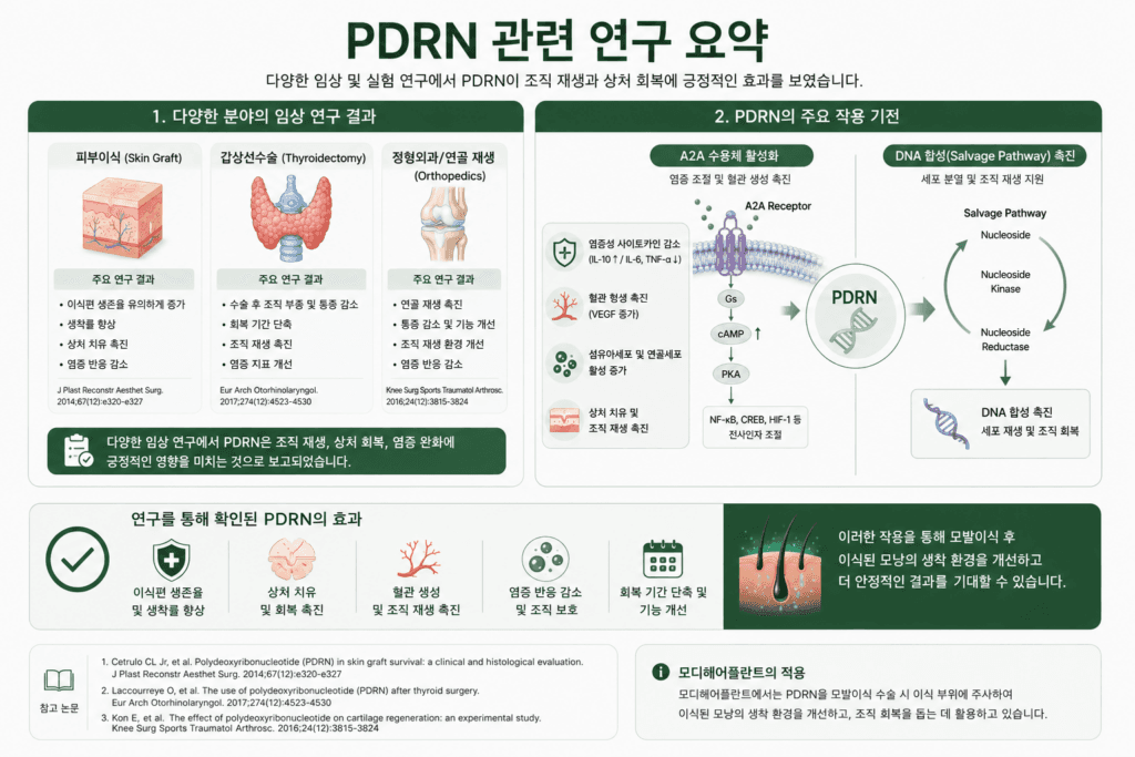 PDRN 관련 참고문헌 논문 내용을 정리한 이미지