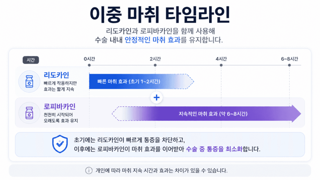 모발이식 이중 마취 타임라인
