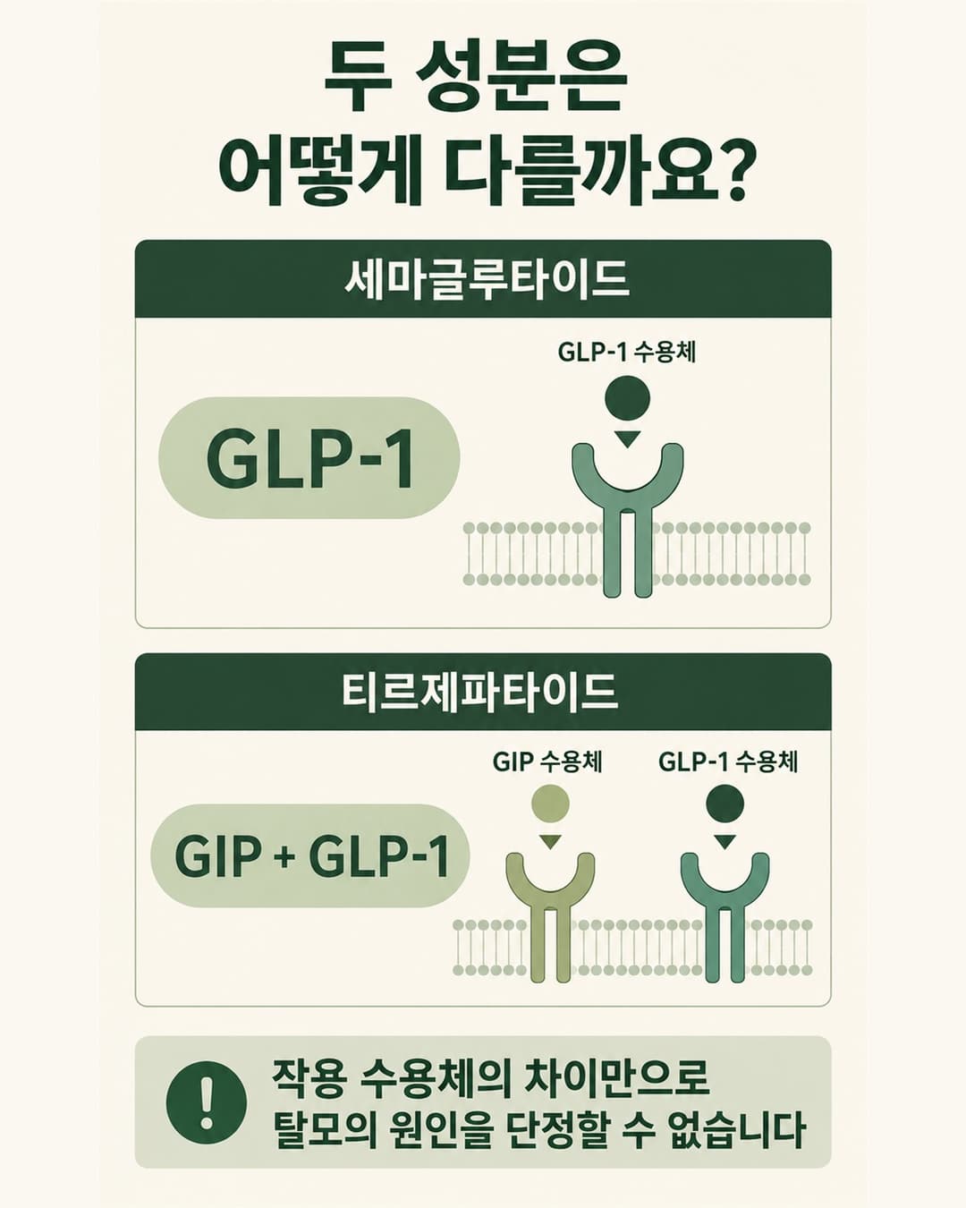 세마글루타이드와 티르제파타이드의 작용 수용체 비교