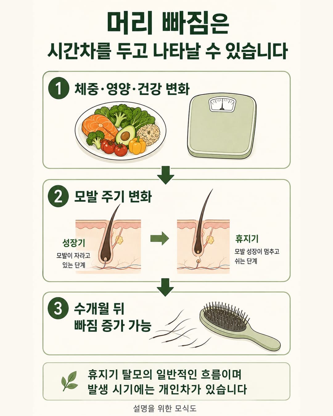 체중과 건강 상태 변화 후 시간차를 두고 나타날 수 있는 휴지기 탈모 과정