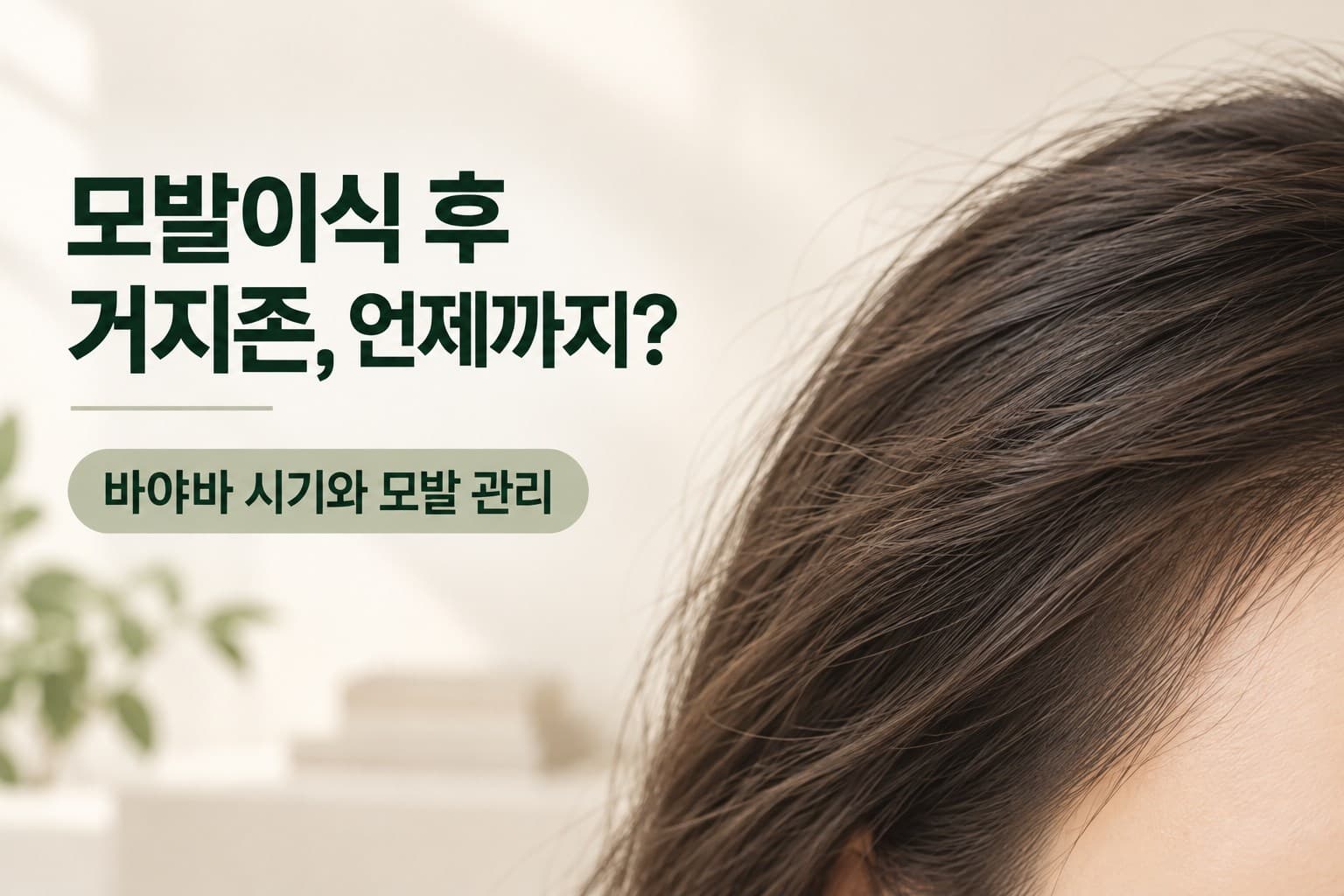모발이식 후 거지존은 언제까지? 바야바 시기와 모발 관리